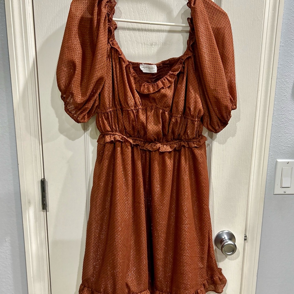 Chic Rust Puff Sleeve Mini Dress